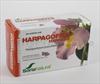 HARPAGOFITO SORICAPSULE N24-S 60 CAPS (complément alimentaire)